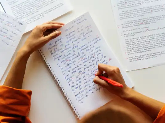 Essay Writing Support